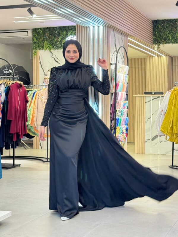 Queen Evening Dress - Image 6