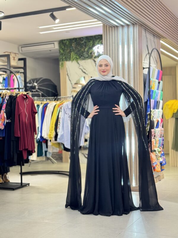 Sultana Dress - Image 2